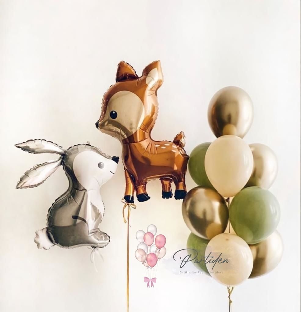 Orman Balon Demeti