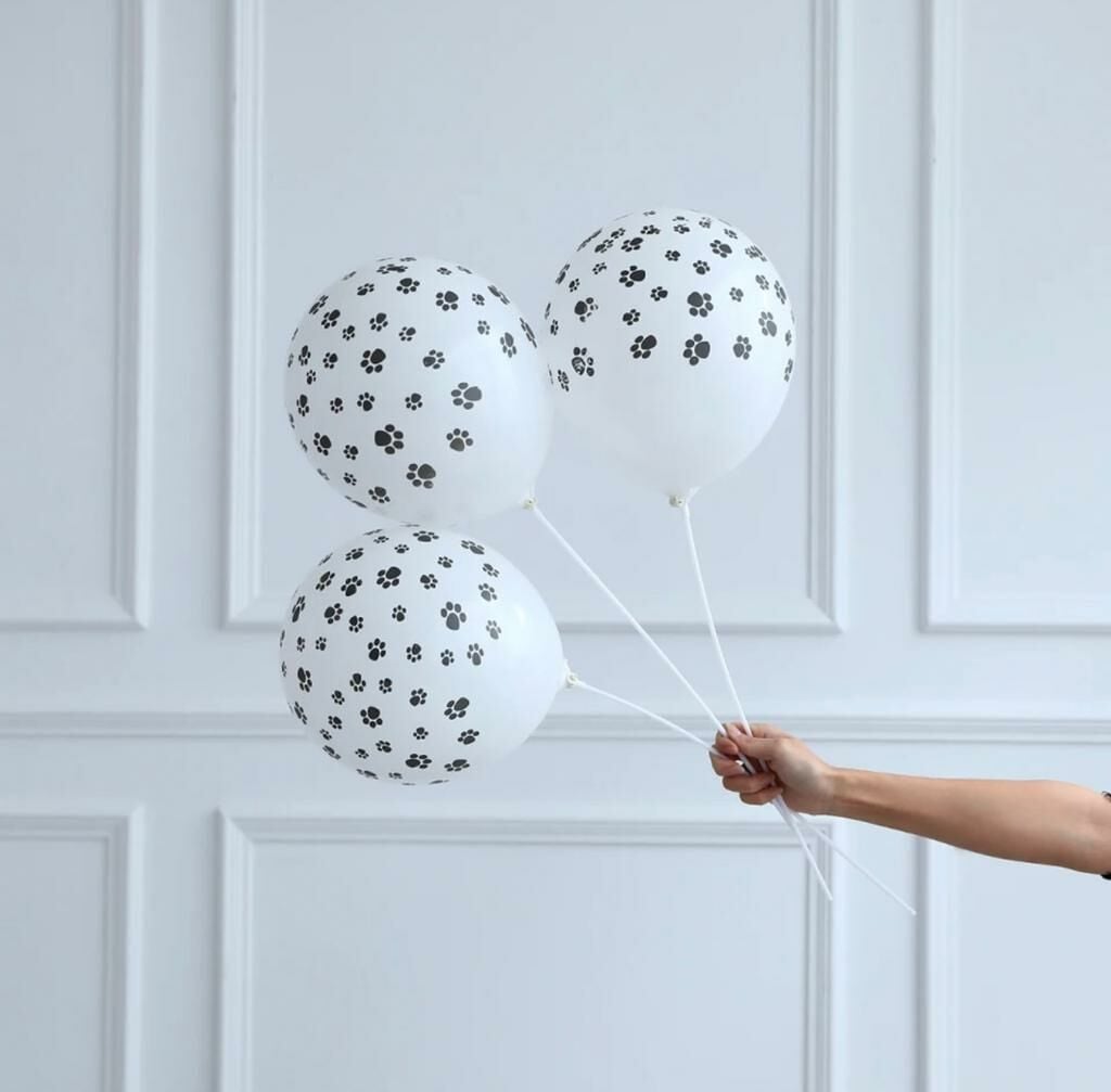 Pati Temalı Lateks Balon 5 Adet